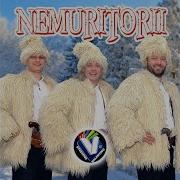 Ce E Viata Pe Pamint