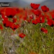 Музыка Для Души