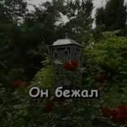 Караоке Лесной Олень