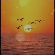 თოლიები მიფრინავენ შორიშორს