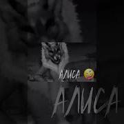 Tiny Bunny Алиса Смех