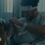 Bad Bunny Bomba Estéreo