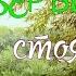 Ви ще не послухали пісня ТАМ ДЕ ВЕРБИ СТОЯТЬ КУЧЕРЯВІ