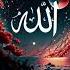 Allah Ya Rabbil Alamin Allah