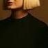 Sia Ft Post Malone Ft Damian Marley I Will Find You In The Next Life