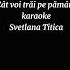 Cat Voi Trăi Pe Pământ KARAOKE SVETLANA TITICA
