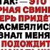 Моя невестка назвала меня свиньёй на свадьбе сына а потом узнала что я новая глава компании её отца